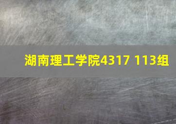 湖南理工学院4317 113组